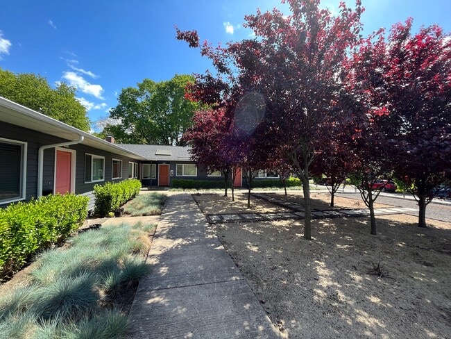 Building Photo - Close-in / Stunning 2 Bedroom Flat! Private Covered Patio, In-Unit Washer & Dryer, Community Gard...