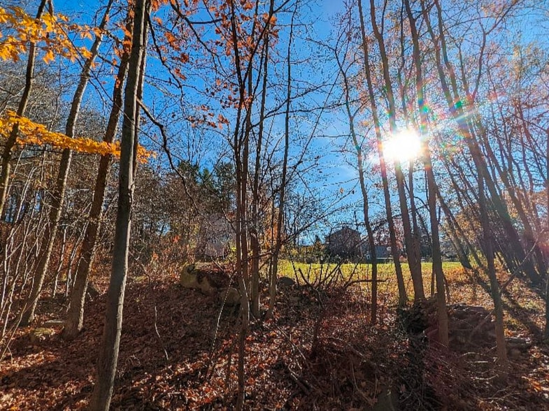 Spacious side yard - 23 Rexford St