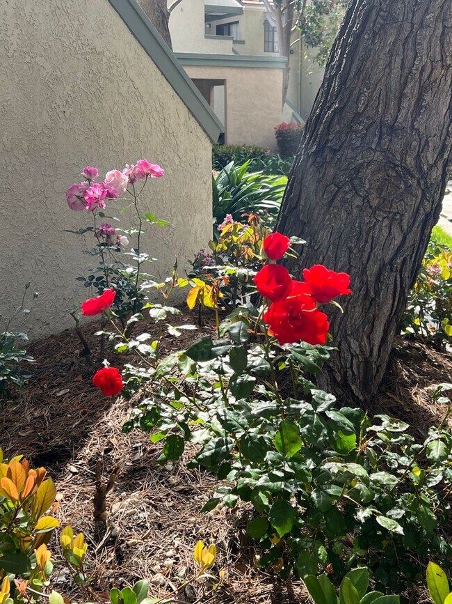 Building Photo - Large 2 Bedroom, 2 Bath Condo with 2 Parki...