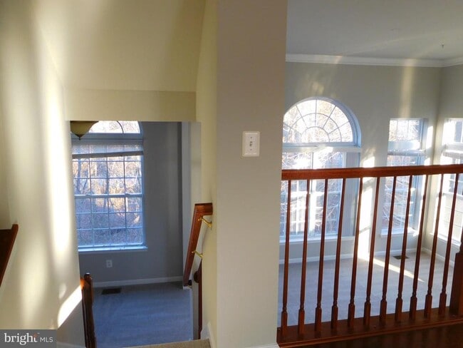 Building Photo - 12420 Rollys Ridge Ave