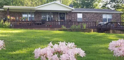 Building Photo - 4 bedroom 2 bath home, 2 car garage, SECLUDED AND PRIVATE, South FAY, 4 acres