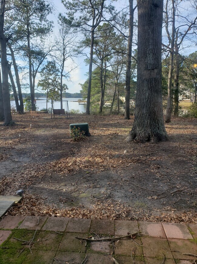 Backyard - 536 Lanier Crescent