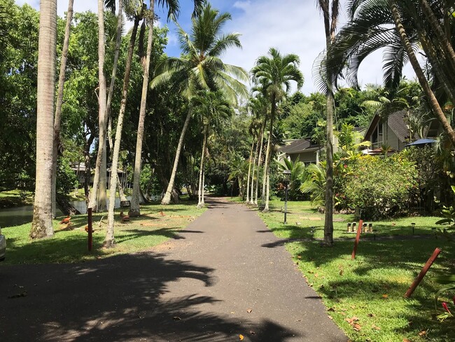 Building Photo - Kauhale Beach cove! Tropical, Serene and v...