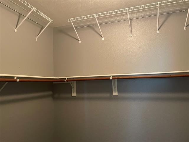 Building Photo - 241 Flatwood Dr