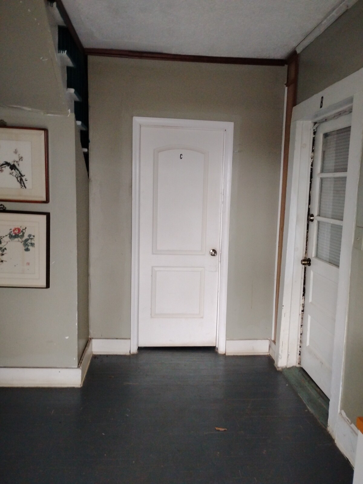 Main entrance to Apartment C unit - 219 West Bell Street