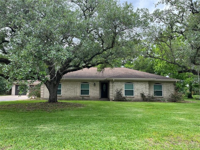 Primary Photo - 304 S Shadowbend Dr