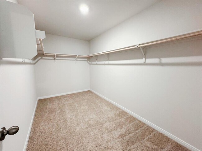 Building Photo - 1207 Camden Ln