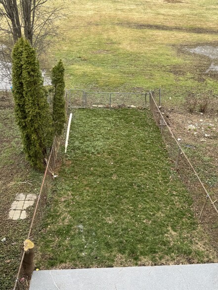 Rear Lawn - 333 Mary St