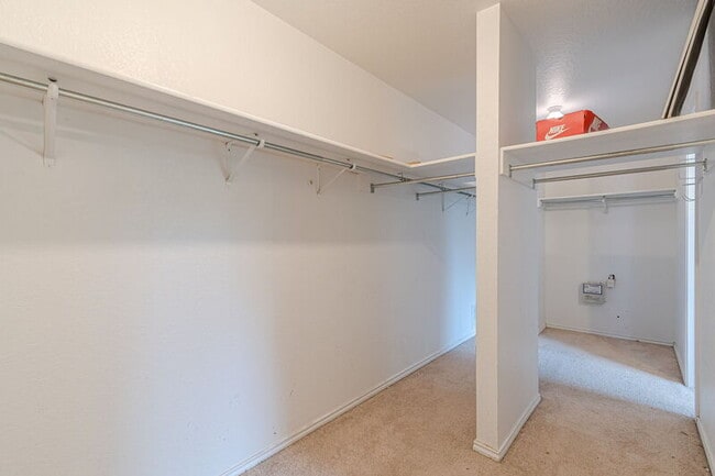 Building Photo - 164 Springtree Hollow