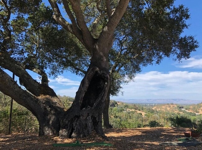 Building Photo - Private ADU with Patio & Panoramic Views of Palo Alto Hills