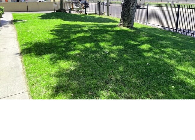 Building Photo - 127 Tiger Ln