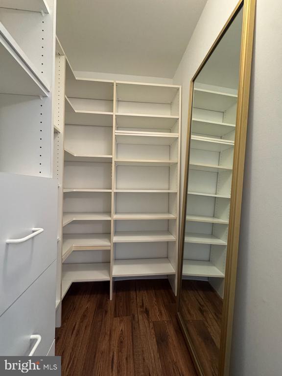 Building Photo - 3885 Steppes Ct