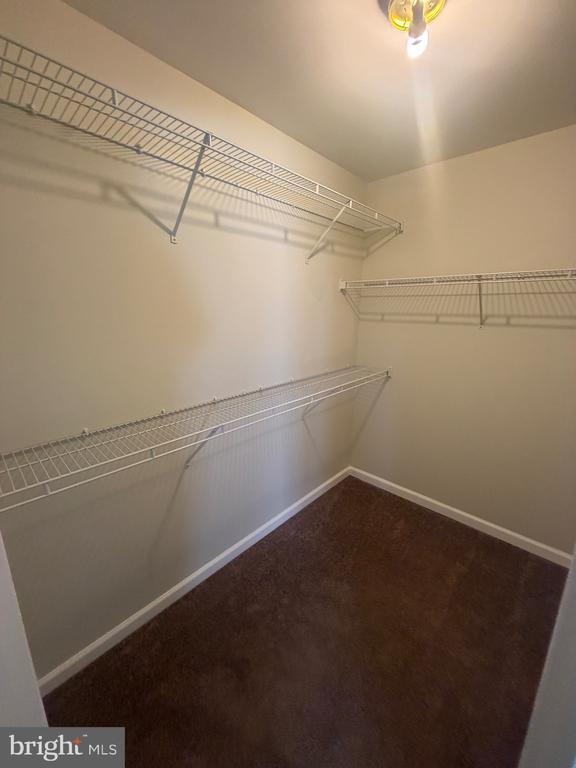 Building Photo - 101 Colts Neck Dr
