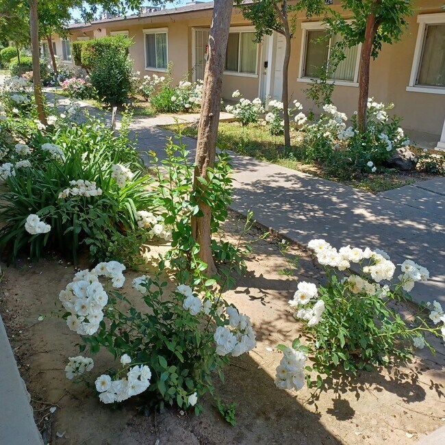 Building Photo - 1 Bedroom 1 Bath Apartment  Garden Square ...