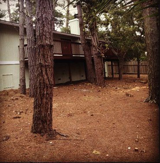 Building Photo - Large Pebble Beach Home