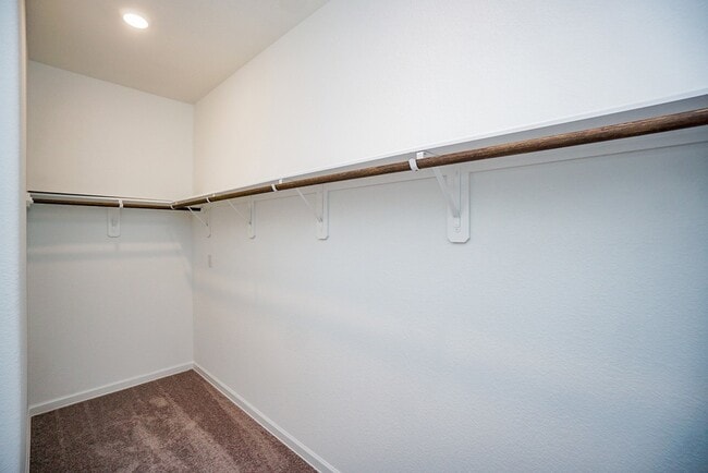 Building Photo - 24243 Palomino Sage Trl