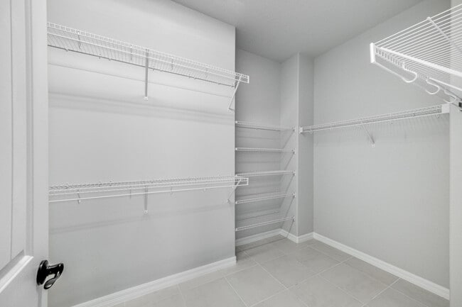 Building Photo - 3167 Illuminate PL