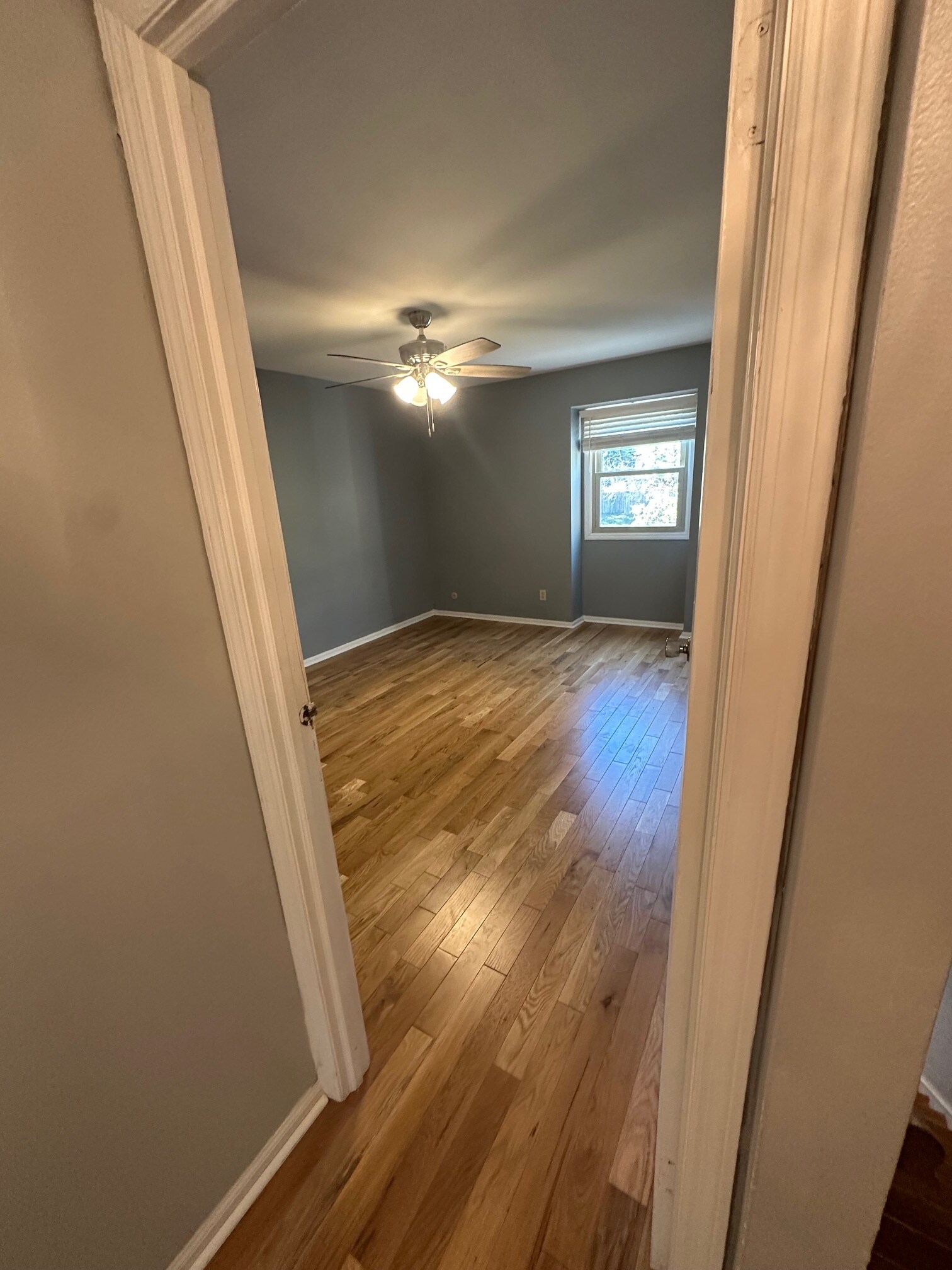 Building Photo - 1008 Manor Ln