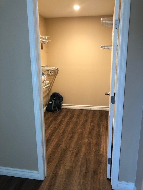 Walk-in closet - 5810 Dovetail Dr
