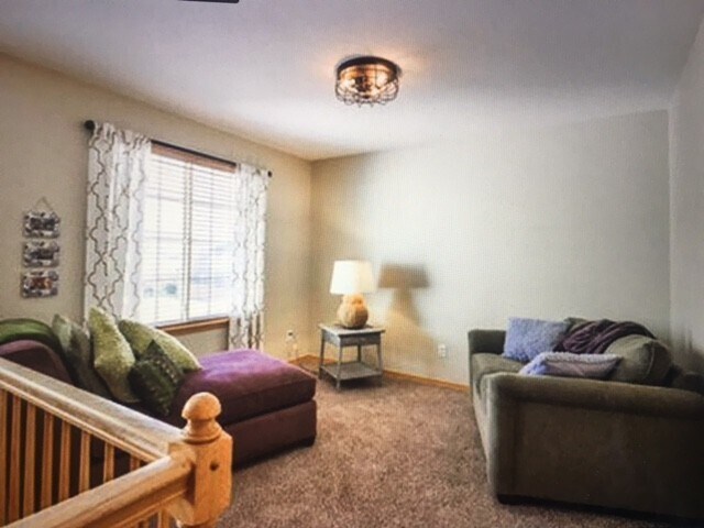 Building Photo - Beautiful 4 bed High End home in West Fort Collins