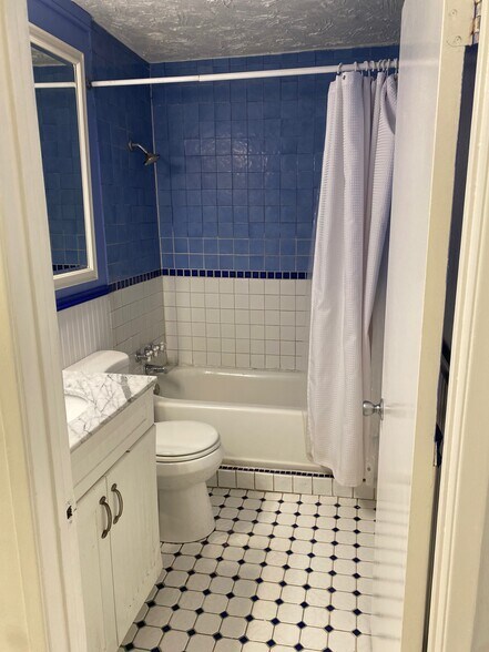 Shower and Tub - 227 Bay St
