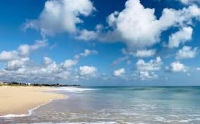 Building Photo - 1945 Bridgepointe Cir