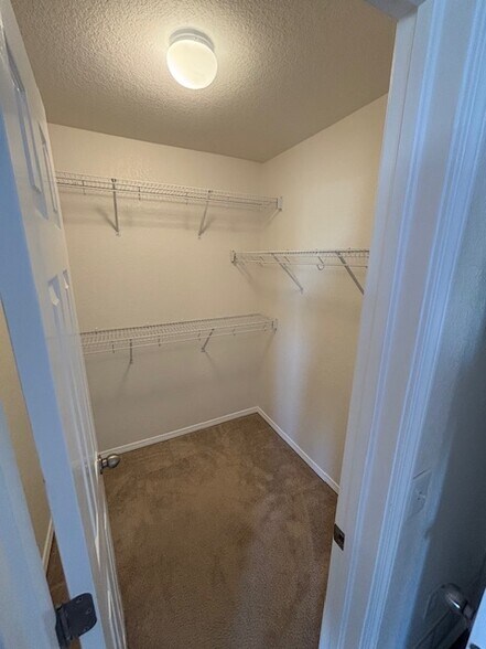master walk-in - 7611 Menagerie Ln