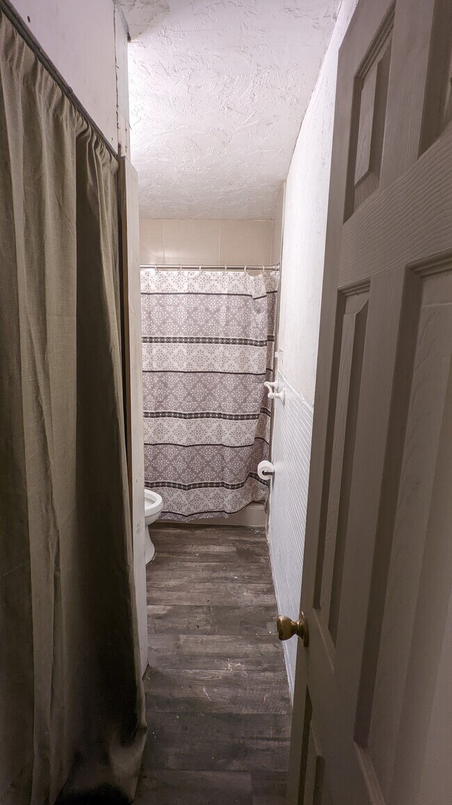 Bathroom from Hallway - 2919 Gillespie Ave