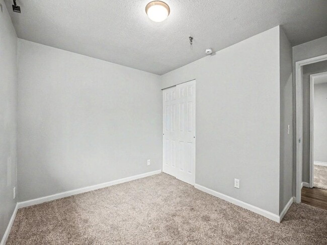 Building Photo - Spacious 4-Bedroom Lacey Home with A/C, Basement Bonus Space & Wetlands Privacy