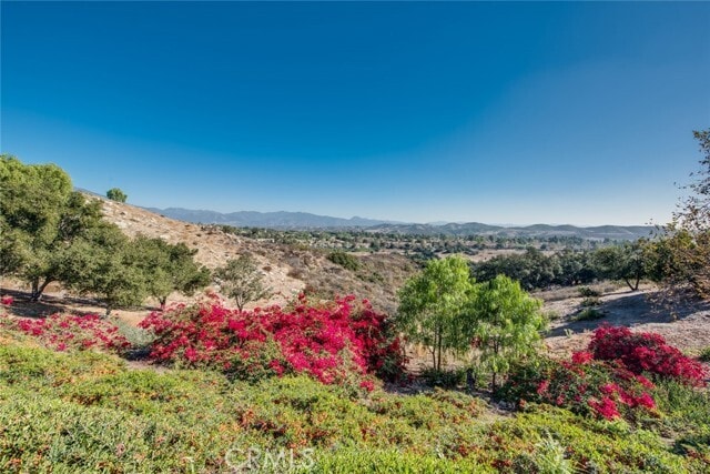 Building Photo - 23261 Castle Rock