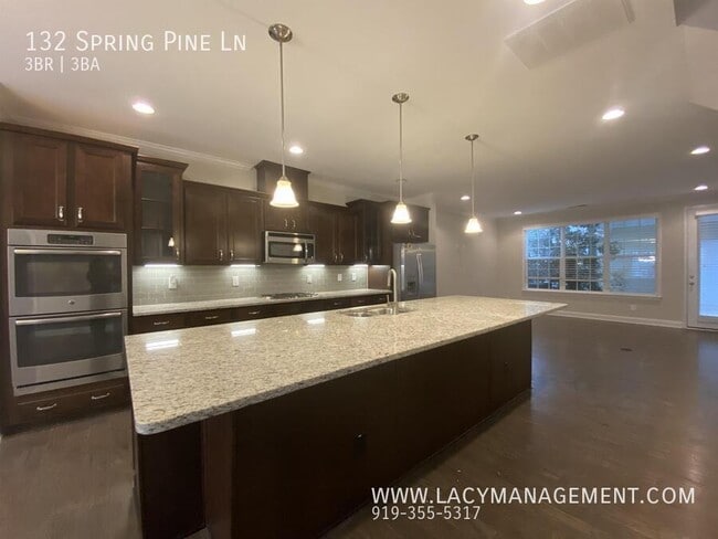 Building Photo - 132 Spring Pine Ln