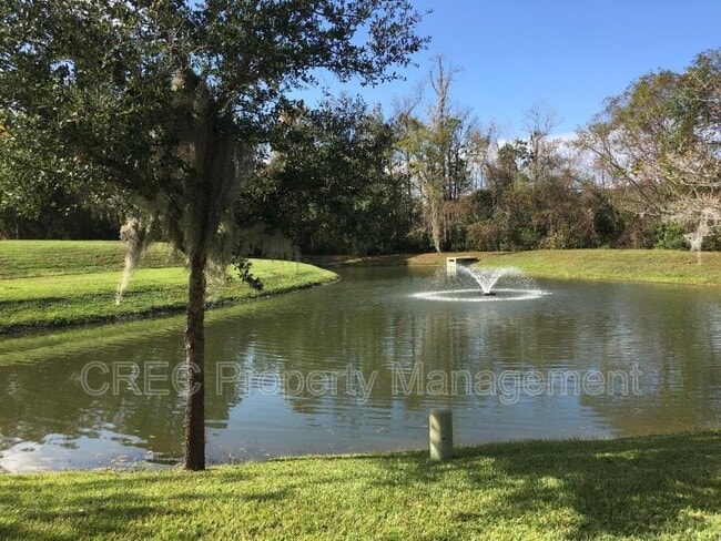 Building Photo - 146 Darcy Ave