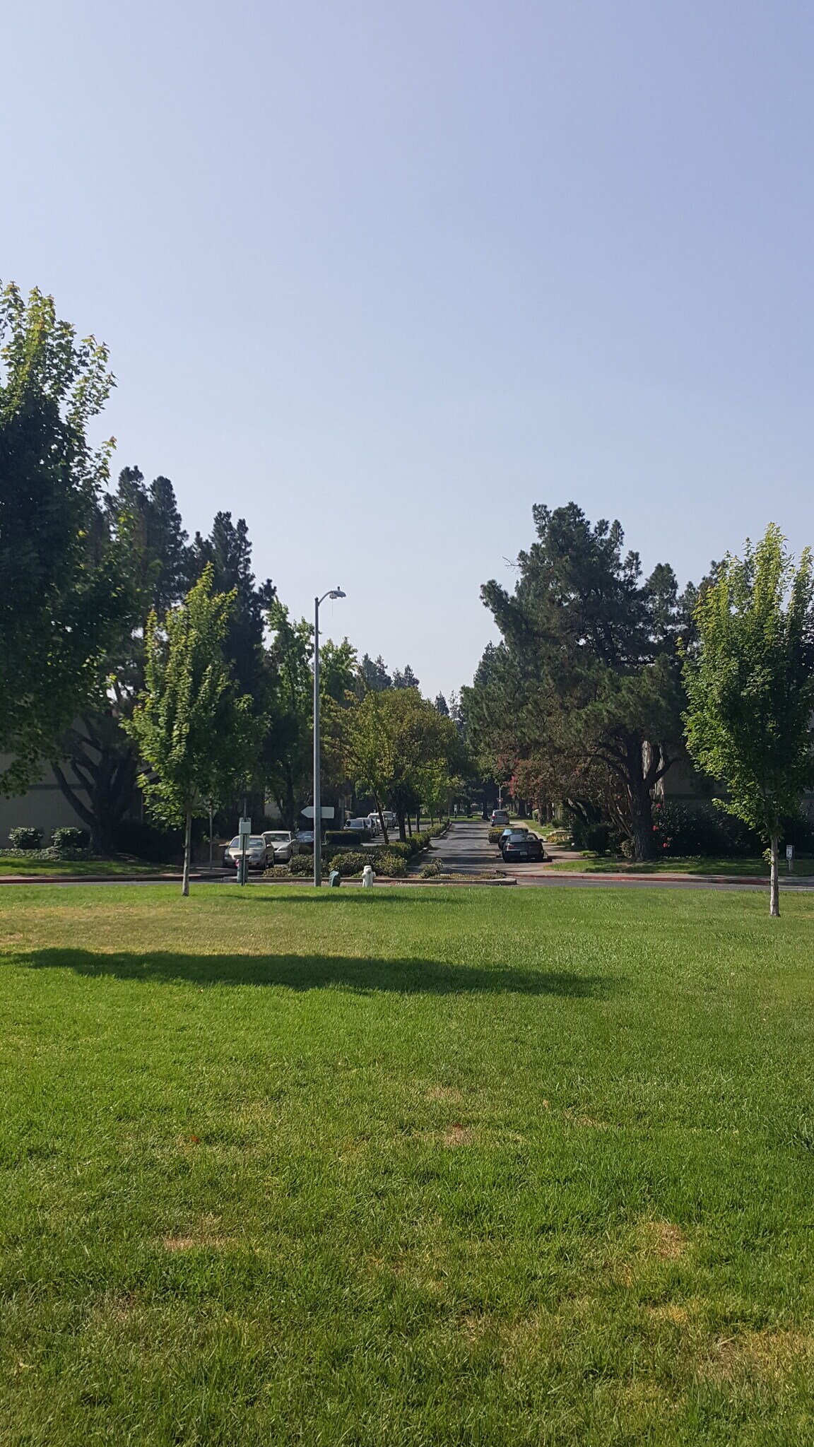 Community_1 - 3555 Northwood Dr