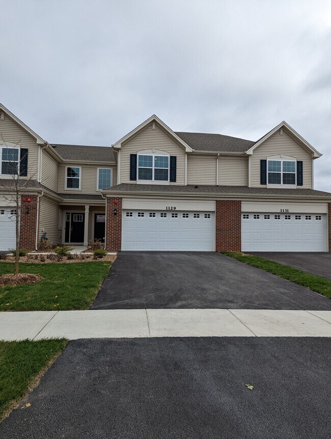 1129 Hawk Hollow Dr 1129 Hawk Hollow Dr Yorkville IL 60560