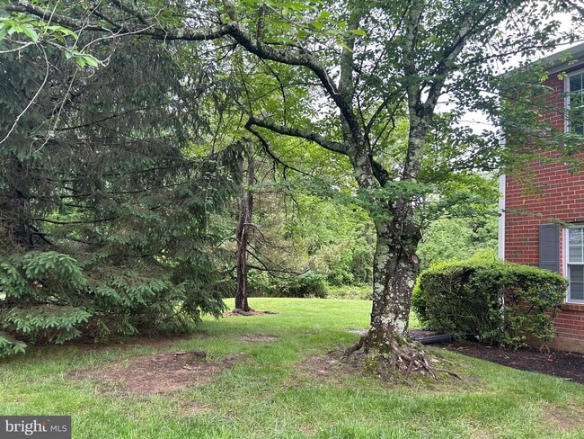 Building Photo - 31 Abelia Ct