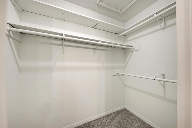 Building Photo - 1501 Terrapin Ct