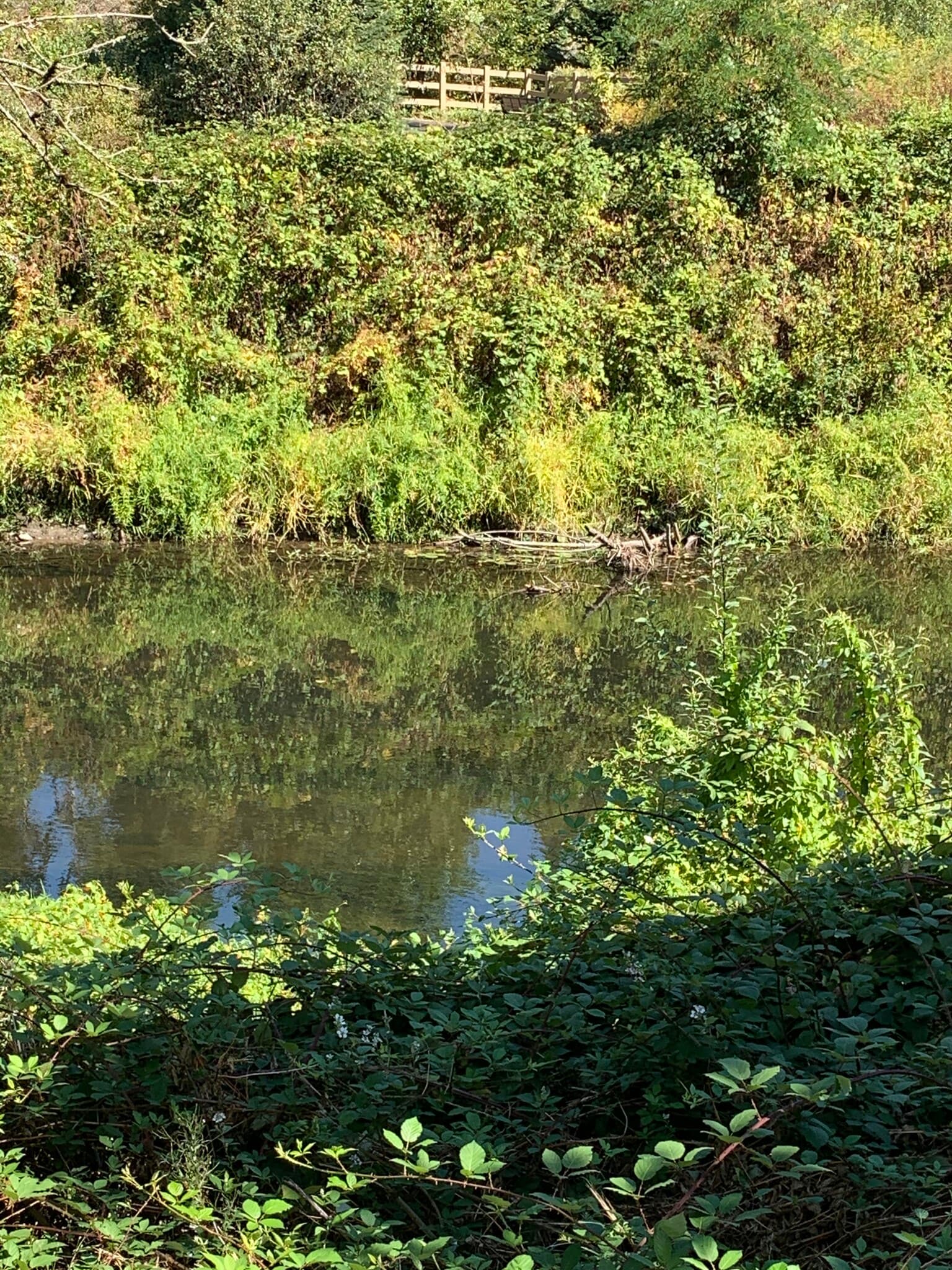 Sammamish River Trails - 15821 Leary Way