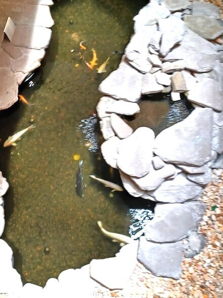 Building Photo - SOUTHWEST FLORIDA ACTIVE LIFESTYLE!!!!!