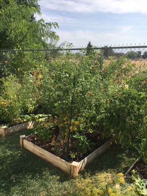 Community Gardens - 7626 W Opohonga Ln