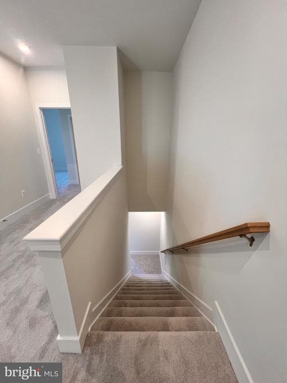 Building Photo - 139 Bamboo Shoot Ln