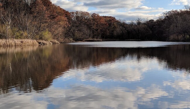 Discover serenity at Shaker Lakes, just a stroll away from your home sweet home. - 3565 Avalon Rd