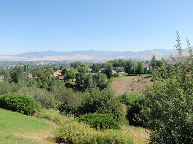 Building Photo - Duplex in the south hills