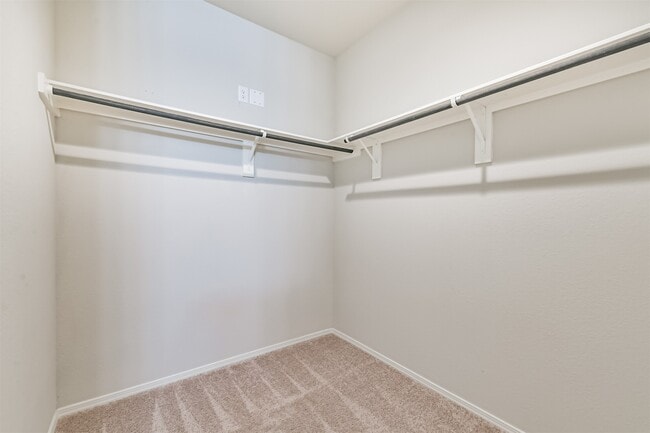 Building Photo - 2135 Twisted Cedar Ct