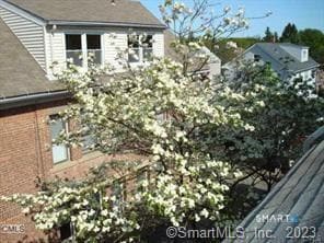 Building Photo - 263 Roselle St
