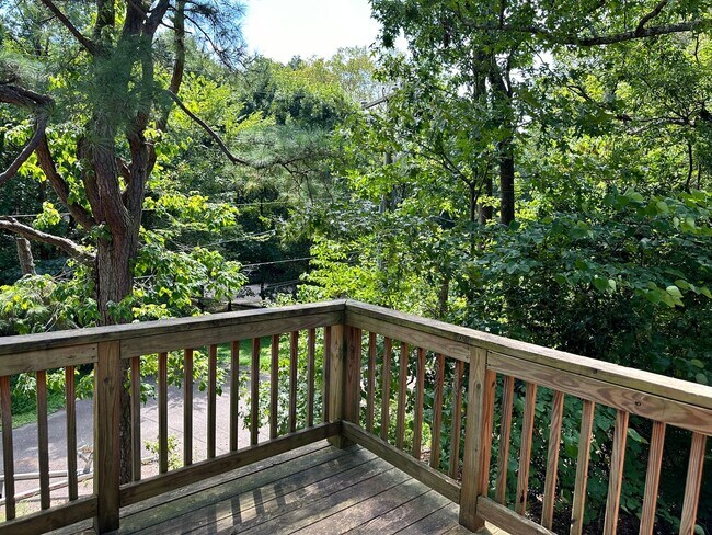 Building Photo - 153 Albemarle Dr