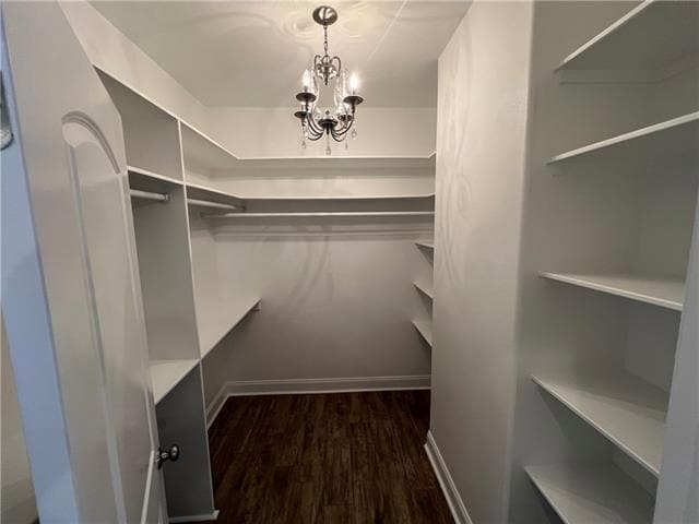 Building Photo - 2708 Volpe Dr