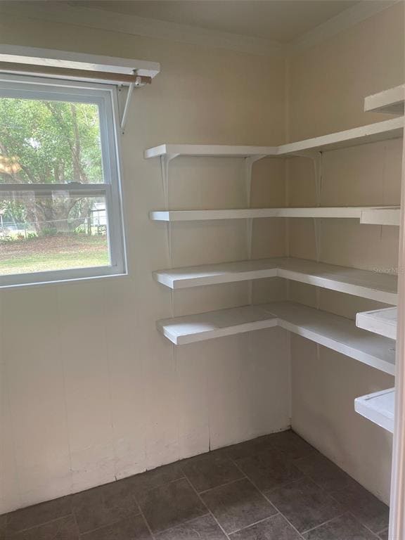 Building Photo - 204 Callitris Ave