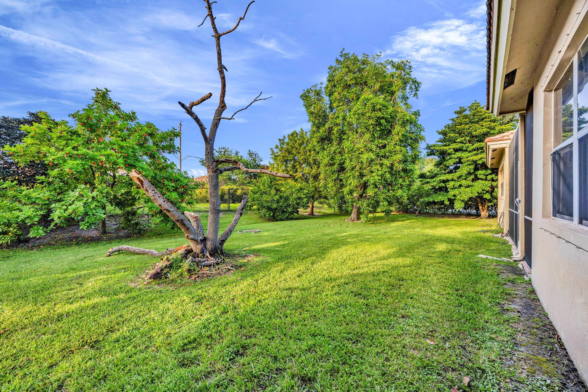 Building Photo - 10555 Paso Fino Dr