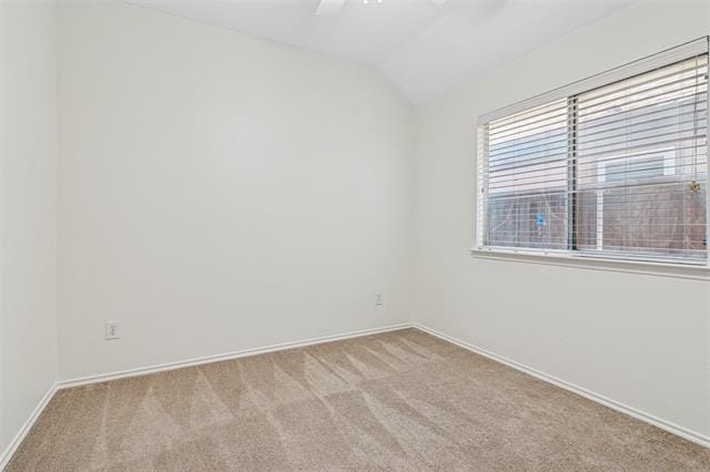 Building Photo - 9937 Tanglebrush Dr