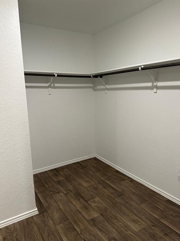 Building Photo - 15012 Siberian Elm Ln